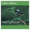 Morning Songbirds cover artwork